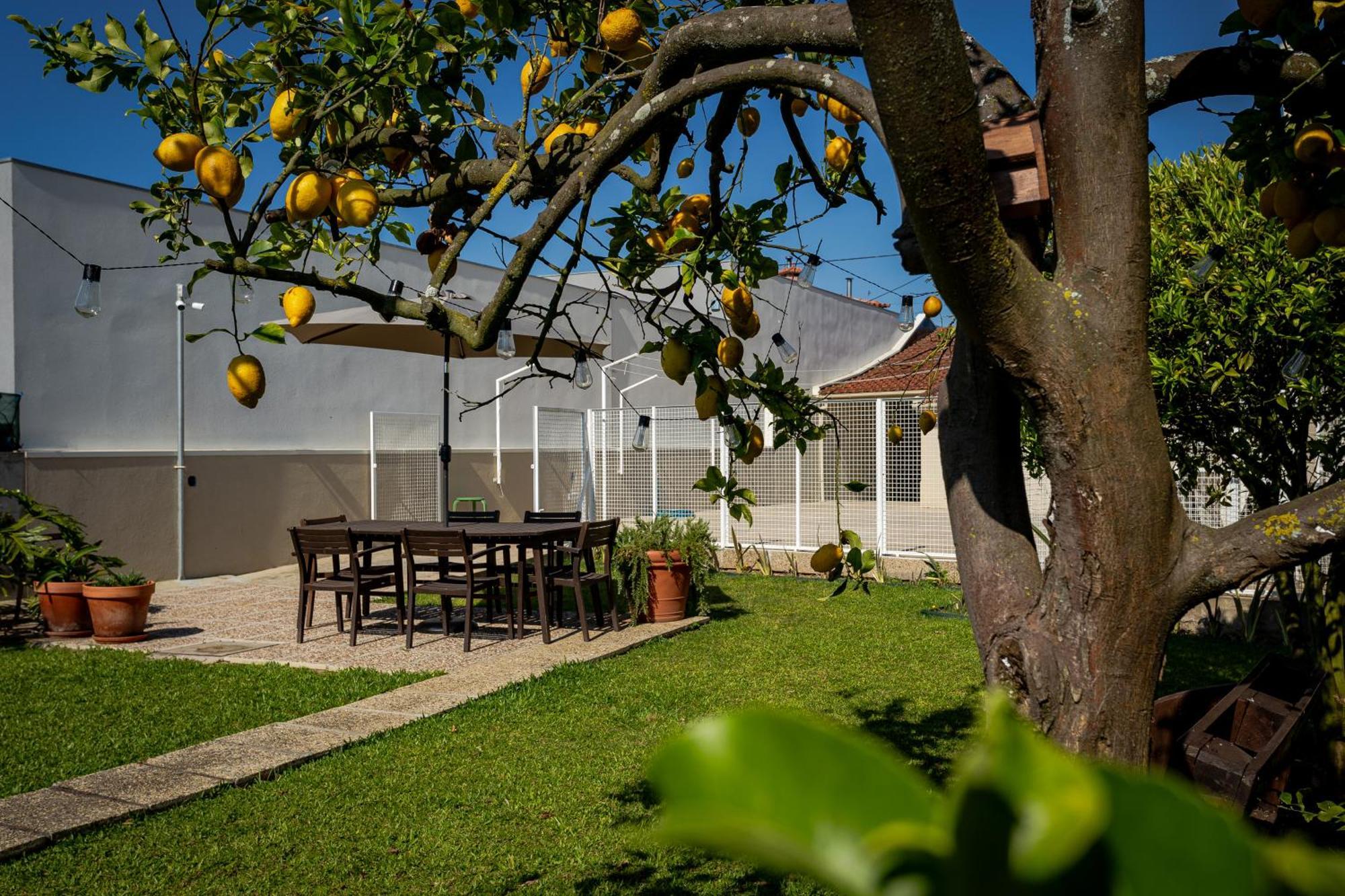 714 Mugnano House Aveleda Villa Вила ду Конде Екстериор снимка
